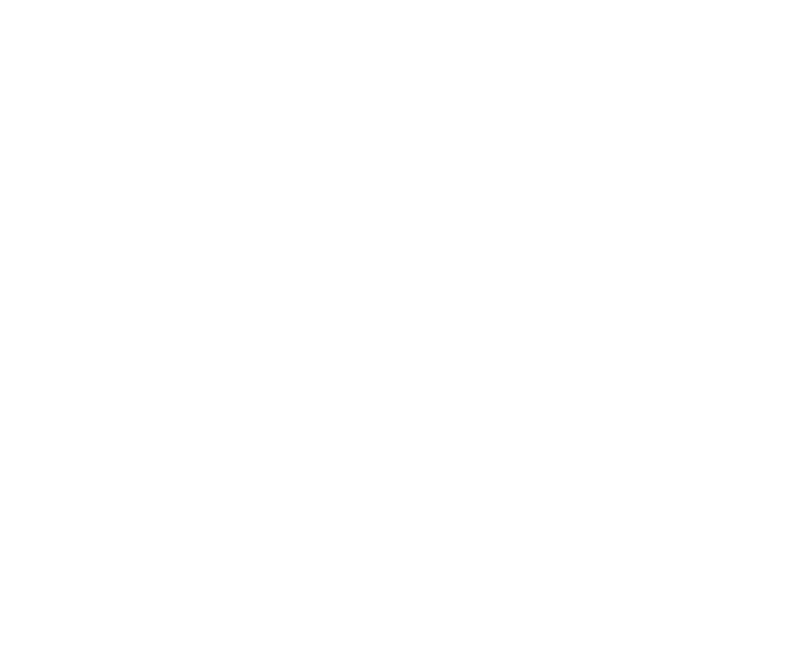 BPT Logo